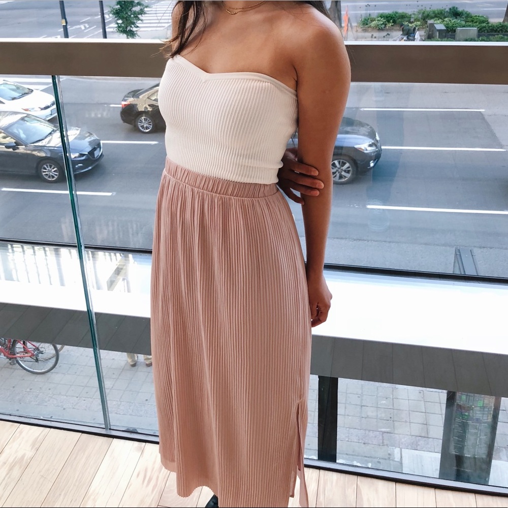 Aritzia Wilfred Pleated Skirt